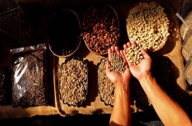 Ekspor Kopi Sumsel Diarahkan ke Pelabuhan Tanjung Api-Api