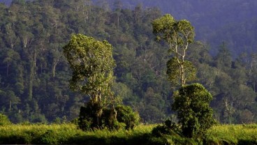 Akses ke Taman Nasional Lore Lindu Akan Dipermudah