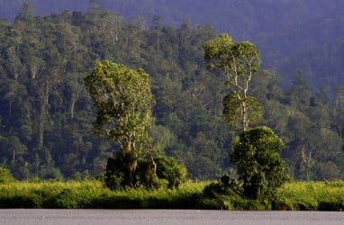 Akses ke Taman Nasional Lore Lindu Akan Dipermudah