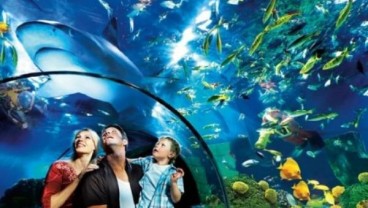 SEA LIFE Malaysia Sambut Kedatangan Kelompok Ikan Pertama