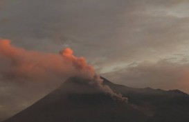 Awas, Lava Pijar Berguguran dari Gunung Merapi ke Arah Kali Gendol