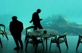 Keren! Penampakan dan Biaya Makan di Restoran Bawah Laut Pertama di Eropa
