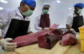 Gorontalo Ekspor 11,4 Ton Tuna ke Jepang