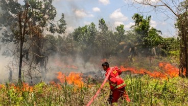 Polda Riau Tangani 12 Tersangka Karhutla, Tak Ada Korporasi