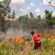 Polda Riau Tangani 12 Tersangka Karhutla, Tak Ada Korporasi