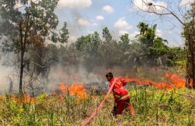 Polda Riau Tangani 12 Tersangka Karhutla, Tak Ada Korporasi
