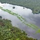 HUTAN ALAM : Skema Silin Bisa Berbenturan dengan Persyaratan Sertifikasi