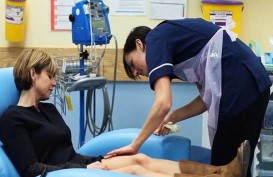 Program IA-CEPA Mulai Bergulir, 50 Perawat dari Ambon Dikirim ke Aussie