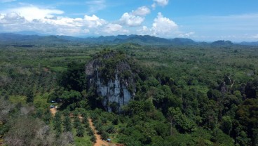 Sumsel Lepas 98.947 Hektare Hutan Sosial ke Masyarakat