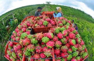 Sumut Jajaki Investor Asal Jepang