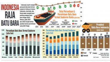 Tren Penurunan Permintaan Batu Bara Global Harus Diwaspadai