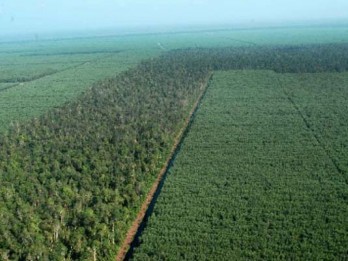Sarpatim Tarik Masyarakat Bangun Hutan Produksi