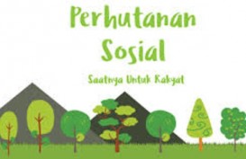 Tuah Para Pendamping Perhutanan Sosial