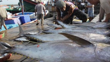 Pemasaran Tuna Wajib Ikuti Standard Aturan Global