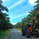 Petani Sawit Minta Perbaikan Administrasi Peremajaan Kebun