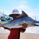 Ini Materi Latihan Dasar 250 Nelayan dan Pelaut Tradisional Maluku