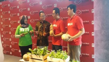 Urban Farming, Ewindo Gandeng Bukalapak dan Shopee