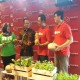 Urban Farming, Ewindo Gandeng Bukalapak dan Shopee