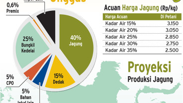 Harga Acuan Jagung Diubah, Siapa yang Diuntungkan?