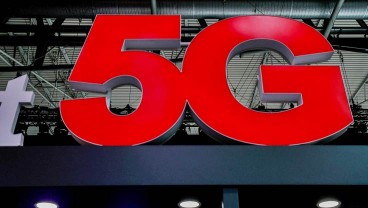 Wow Sapi-Sapi di Inggris Sudah Menikmati Jaringan 5G