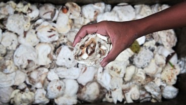 Harga Karet Cetak Kenaikan Mingguan Terbesar Sejak Maret