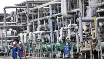 Pemerintah Dukung Co-Processing Sawit Jadi Bensin dan LPG