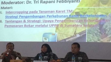 Teknologi Bisa Dongrak Produktivitas Kebun Karet Hingga 2 Ton/Ha