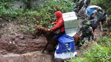 Distribusi Surat Suara di Jember Libatkan Kuda