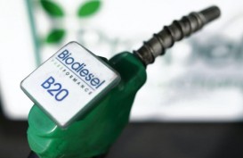 Produsen Biodiesel Sebut Tahapan B100 Masih Panjang