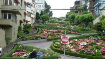 Lewat Jalan Paling Berliku di San Francisco Lombard Street, Harus Bayar