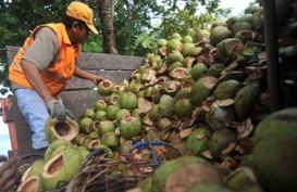 Kemenperin Genjot IKM Pengolahan Kelapa