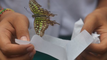 Gianyar Jadi Kota Kerajinan Dunia, Disokong 36.890 UMKM