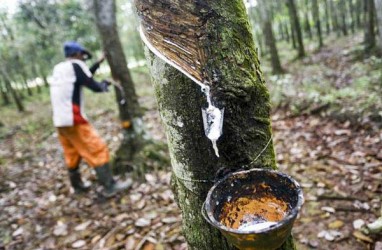 Lelang 4S Dongkrak Harga Karet Petani Sumsel