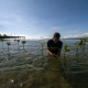 2.000 Mangrove di Teluk Palu dan Ikhtiar Meminimalisir Imbas Bencana