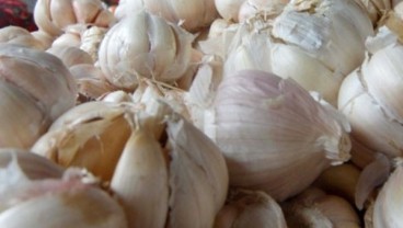 Harga Bawang Putih di Bandarlampung Rp45.000 per Kilogram