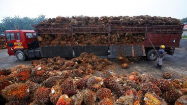 Kemitraan Kelapa Sawit : KPPU Siap Tindak Tegas Perusahaan Pelanggar