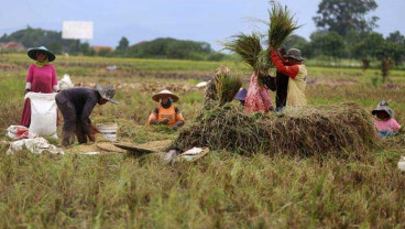 Gorontalo Genjot Pertanian Lewat Pemberdayaan Teknologi Digital
