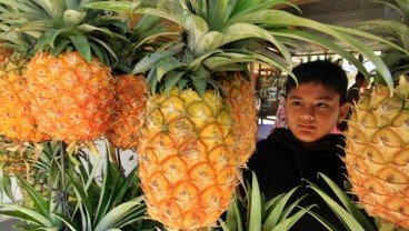 Setelah Protokol Manggis dan Buah Naga, Jangan Lupa Nanas dan Salak