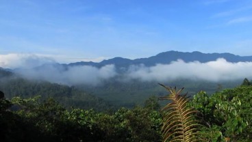 Proyek Jalan di Bukit Rimbang Baling Ditolak