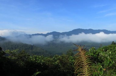 Proyek Jalan di Bukit Rimbang Baling Ditolak