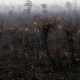 Waspada, Kalteng Mulai Diancam Kebakaran Hutan & Lahan