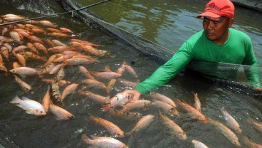 Eks Narapidana Garap Perikanan Budidaya di OKU Timur