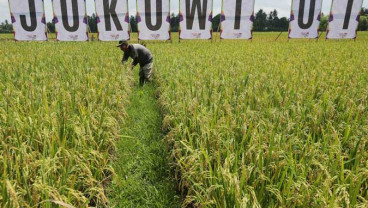 NTP Kalbar Naik 0,73 Persen