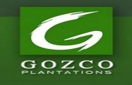 Kuartal I/2019, Produksi CPO Gozco Masih Pelan
