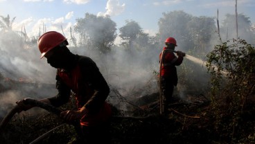 Kebakaran Hutan di Riau Mencapai 2.932 Hektare