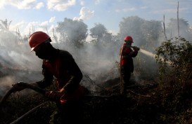 Kebakaran Hutan di Riau Mencapai 2.932 Hektare