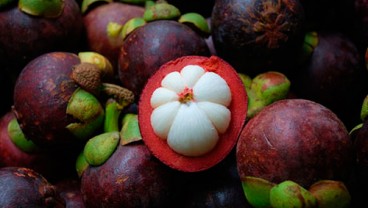 Kementan Jajaki Pasar Produk Buah RI di Argentina