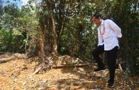 Kunjungi 'Kawasan Segitiga', Presiden Jokowi Dapat Lahan Luas untuk Calon Ibu Kota Baru