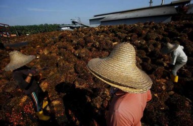 100.000 Hektare Sawit di Riau Harus Diremajakan