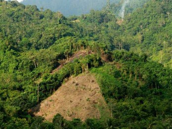 Belum Ada Redistribusi Kawasan Hutan di Rejang Lebong